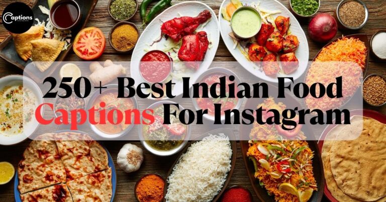 Best Indian Food Captions