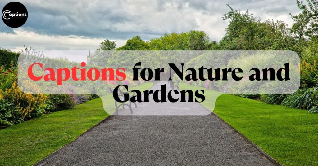 Captions for Nature and Gardens