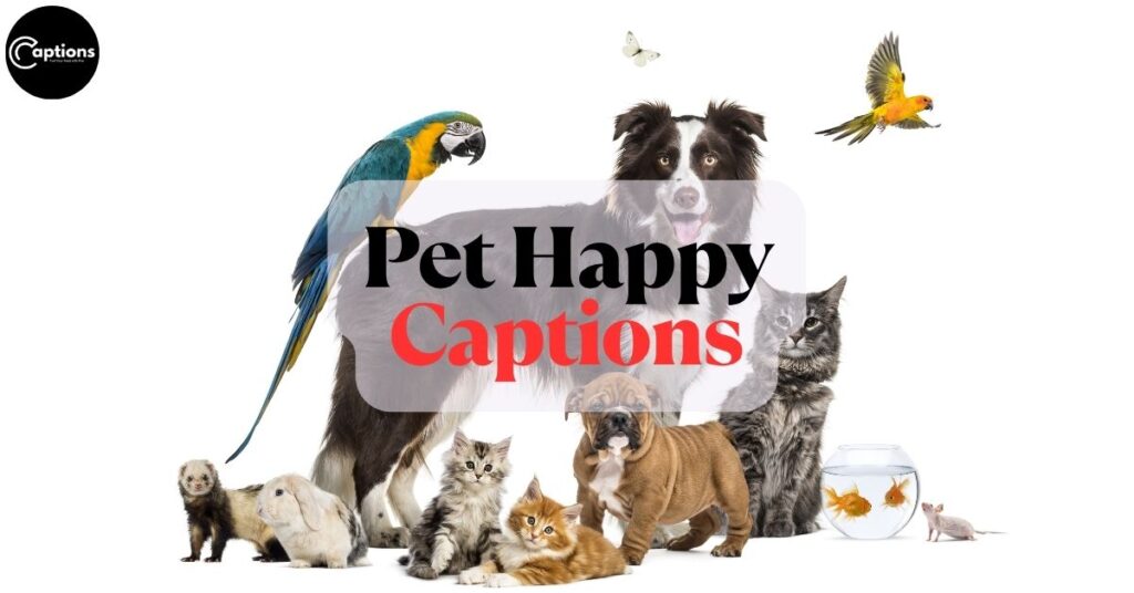 Pet Happy Captions