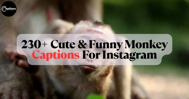 Funny Monkey Captions For Instagram